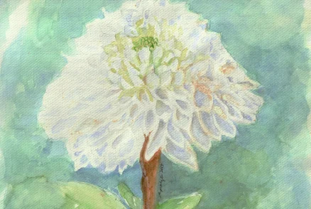 GreenWhite