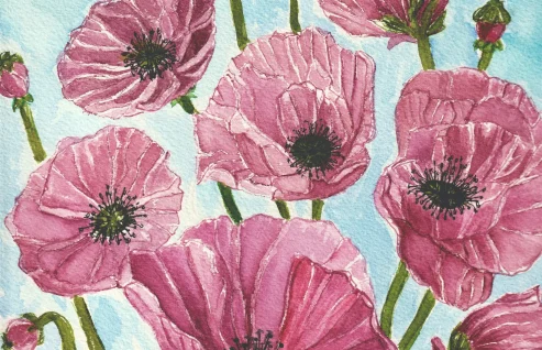 PoppyBush