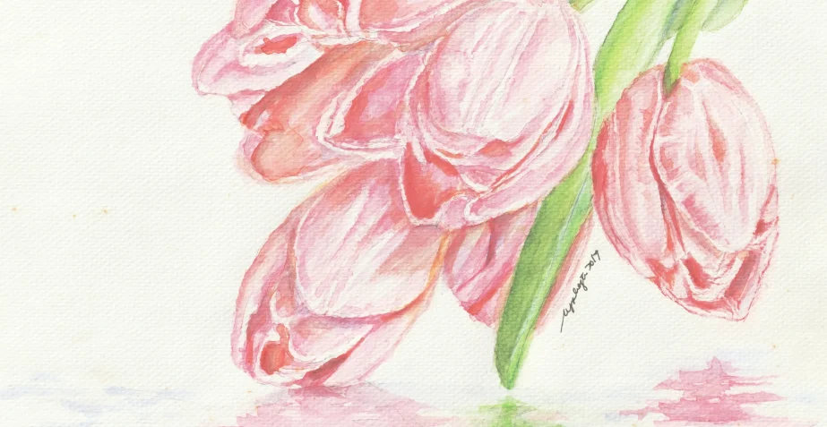 TulipsReflection