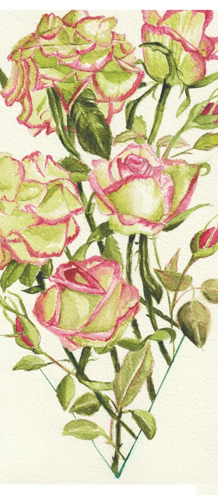 VRoses